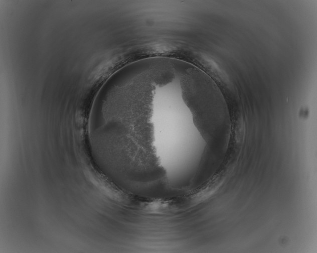 X0000091010366200708021553