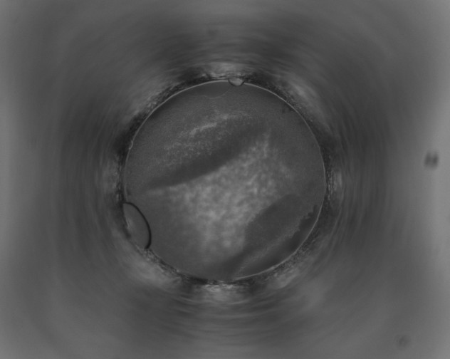 X0000091010367200708021553