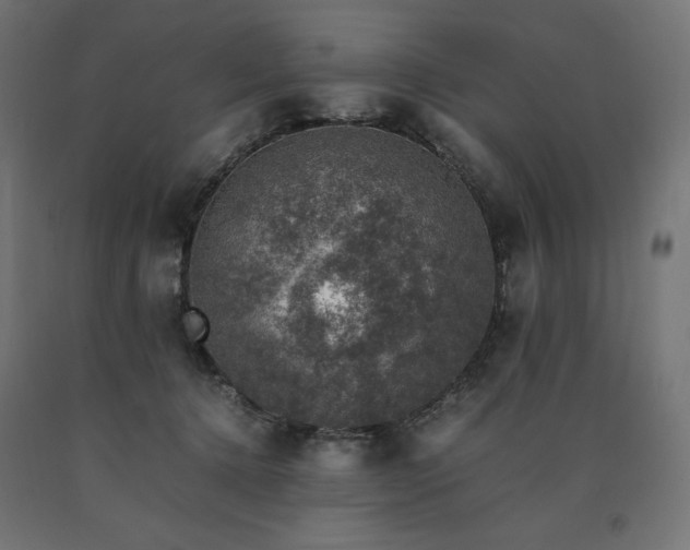 X0000091010368200708021553