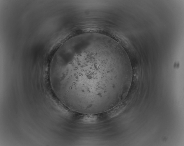 X0000091010369200708021553