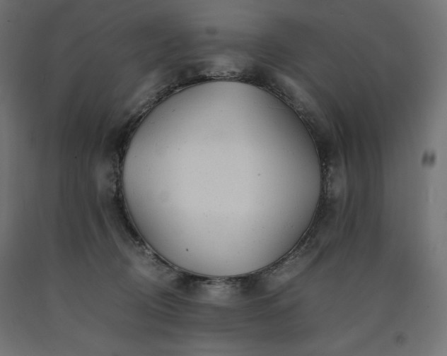 X0000091010370200708021553