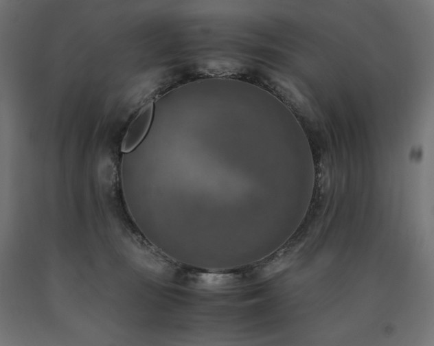 X0000091010371200708021553