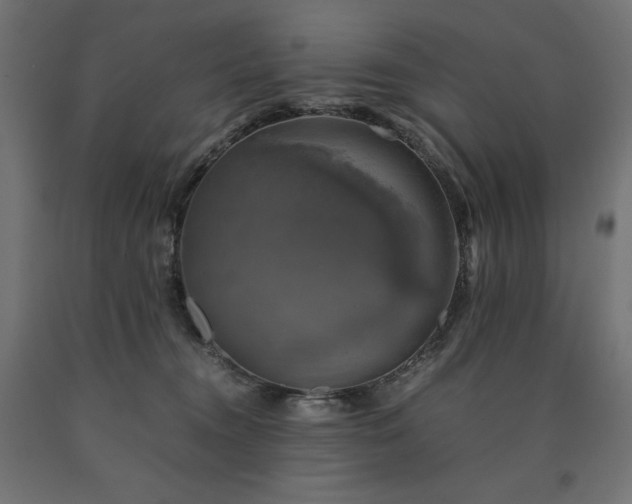 X0000091010372200708021553