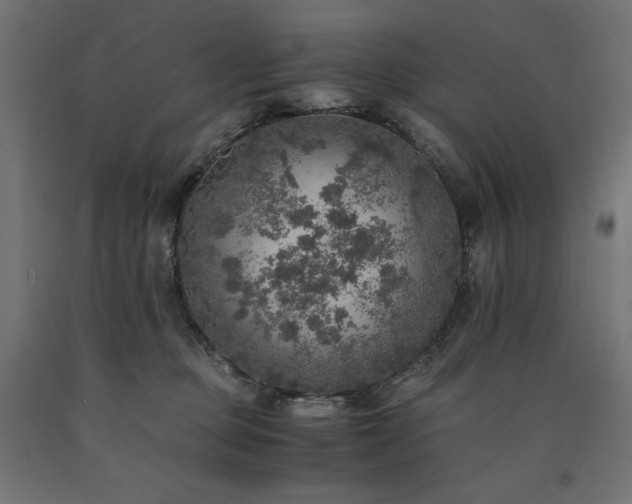 X0000091010373200708021553