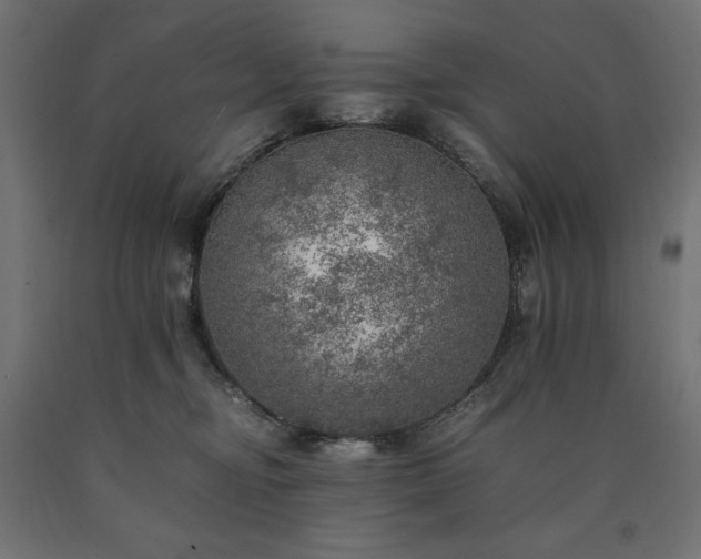 X0000091010374200708021553