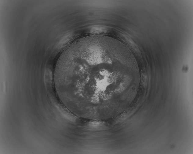 X0000091010375200708021553