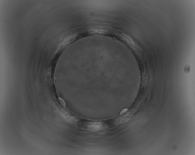 X0000091010377200708021554