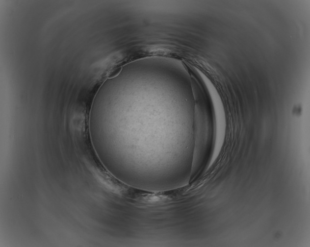 X0000091010379200708021554