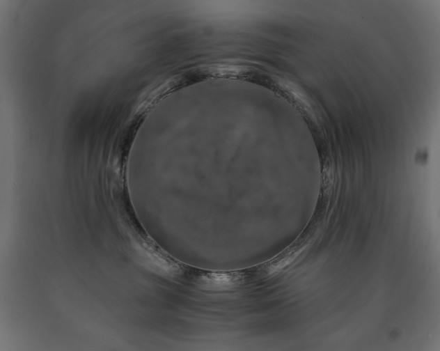 X0000091010381200708021554