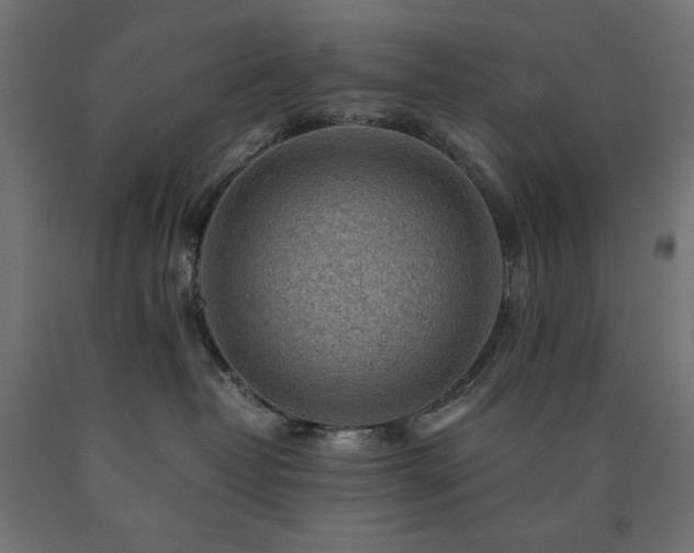 X0000091010382200708021554
