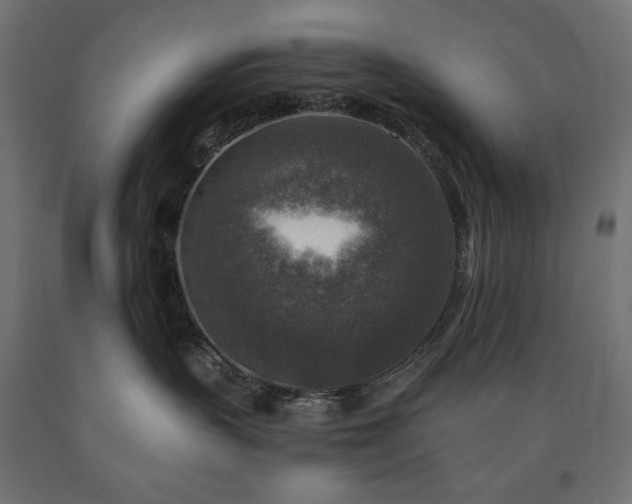 X0000091010383200708021554