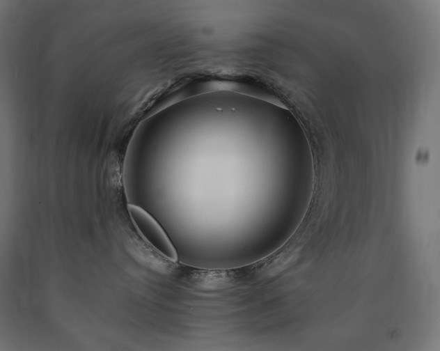 X0000091010384200708021554