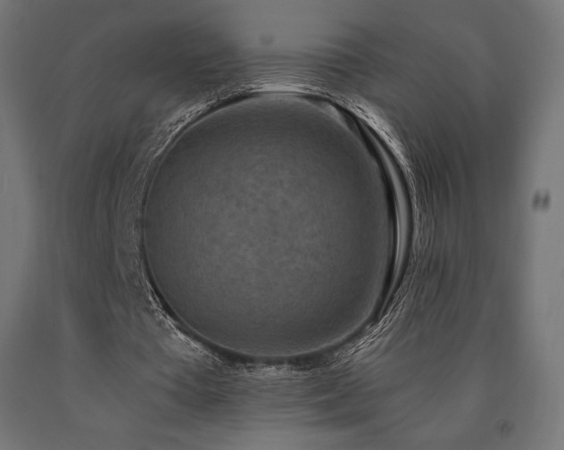 X0000091010385200708021553
