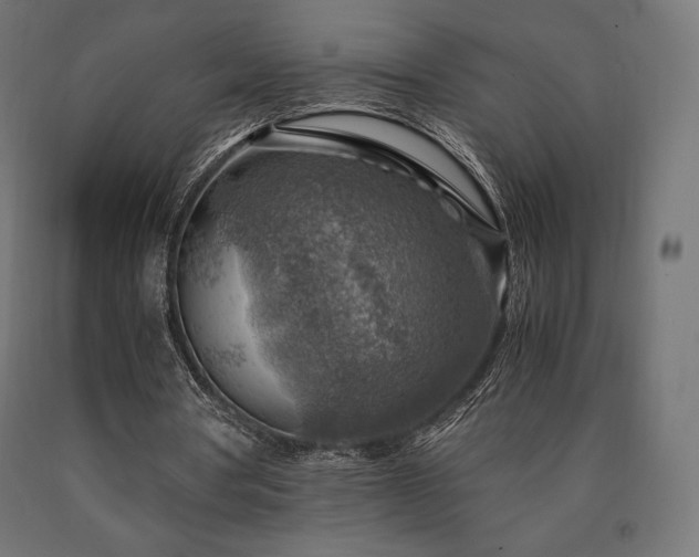 X0000091010386200708021553