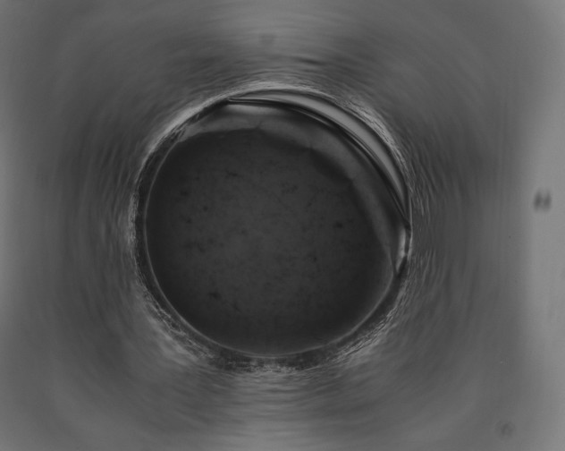 X0000091010387200708021553
