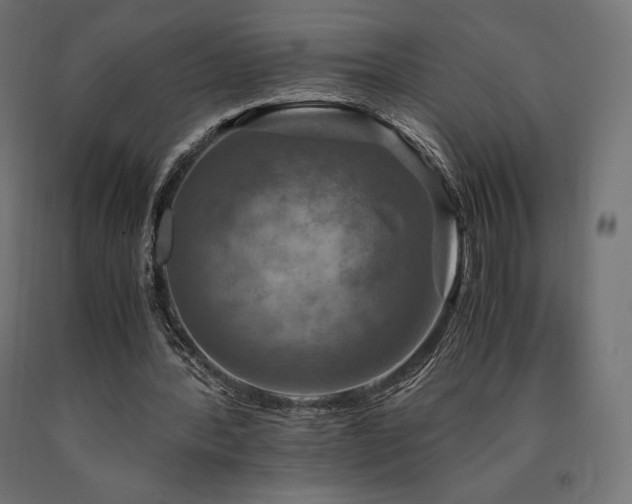 X0000091010388200708021553