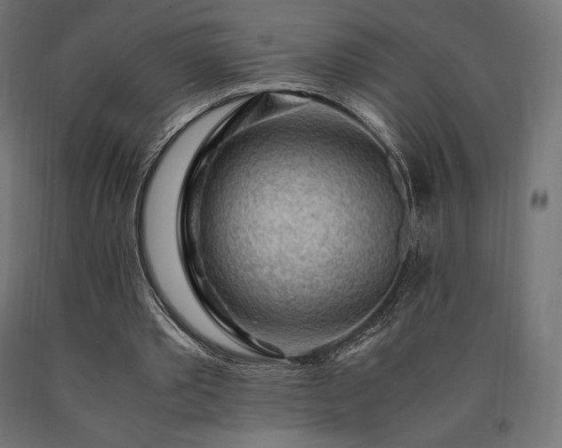 X0000091010389200708021553