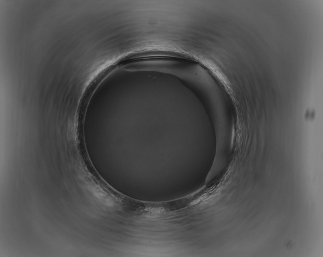 X0000091010391200708021553