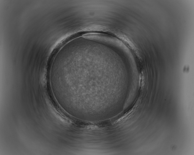 X0000091010392200708021553