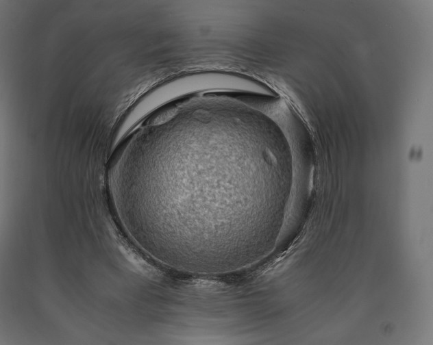 X0000091010393200708021553