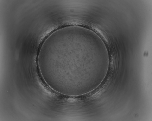X0000091010394200708021553