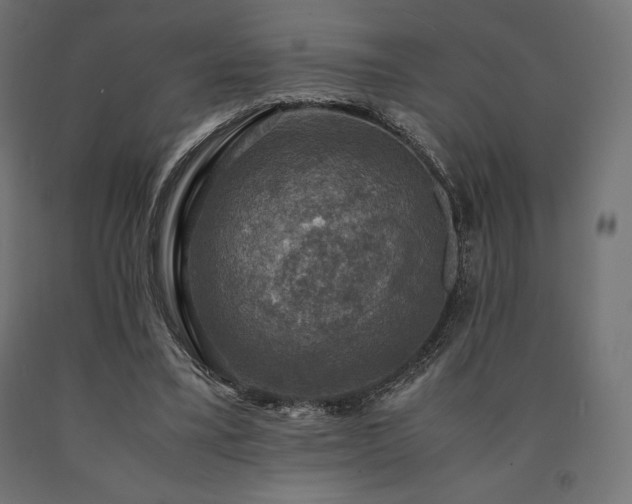 X0000091010395200708021553