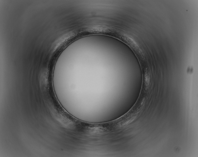 X0000091010396200708021553