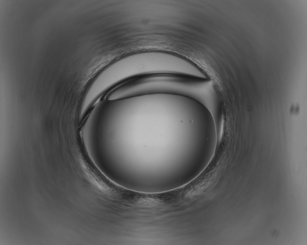 X0000091010397200708021553