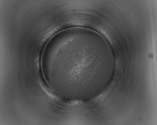X0000091010398200708021553