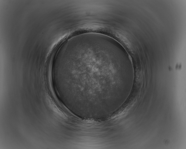 X0000091010399200708021553