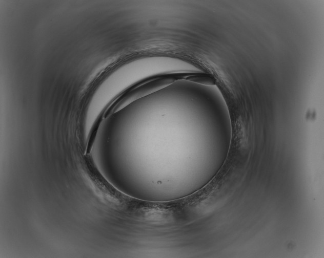 X0000091010400200708021553