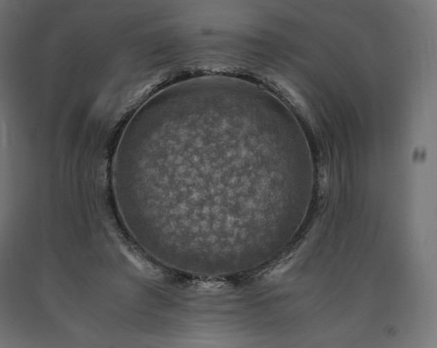 X0000091010401200708021553