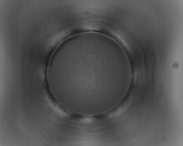 X0000091010402200708021553