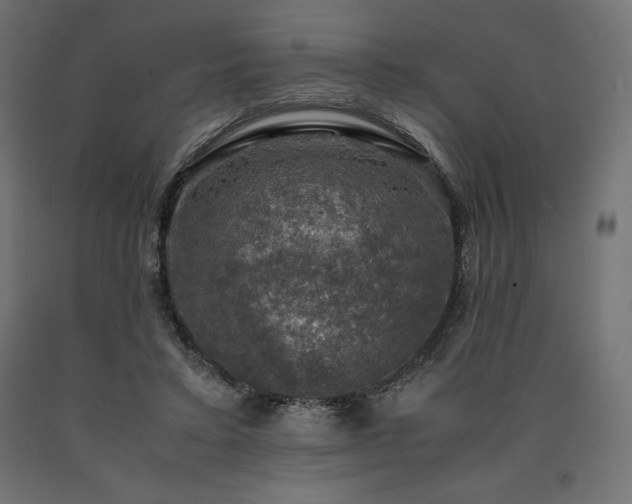 X0000091010403200708021553