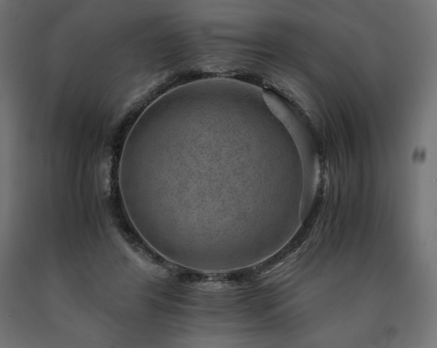 X0000091010404200708021553