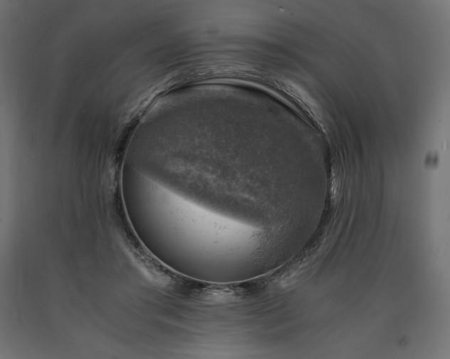 X0000091010405200708021553