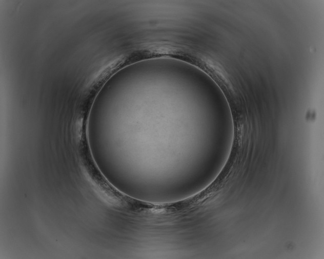 X0000091010406200708021553