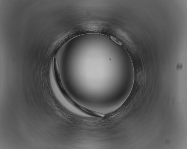 X0000091010407200708021553