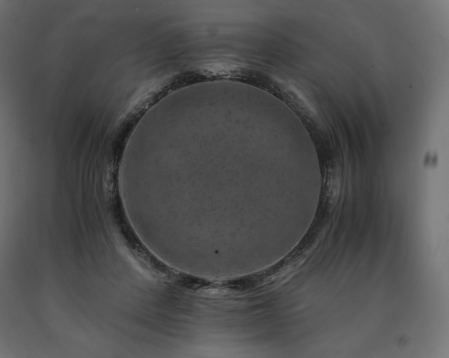 X0000091010408200708021553