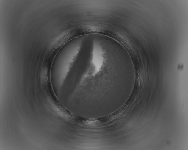 X0000091010410200708021553