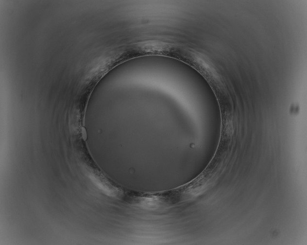 X0000091010411200708021553