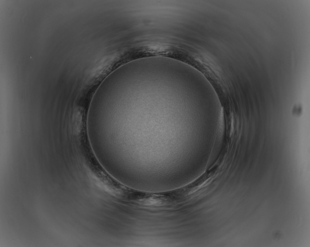X0000091010412200708021553