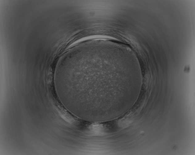 X0000091010413200708021553