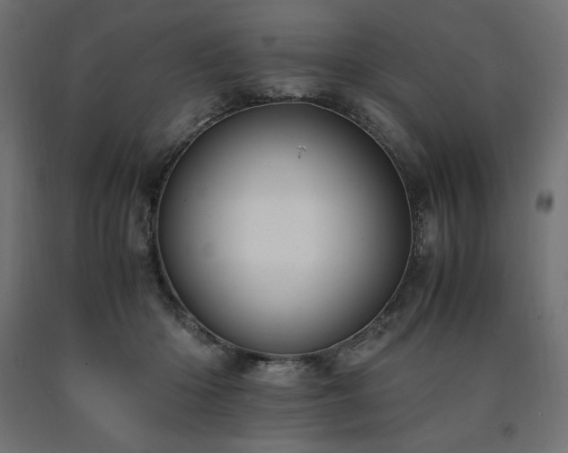X0000091010414200708021553