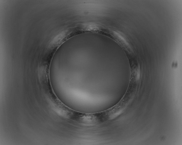 X0000091010415200708021553