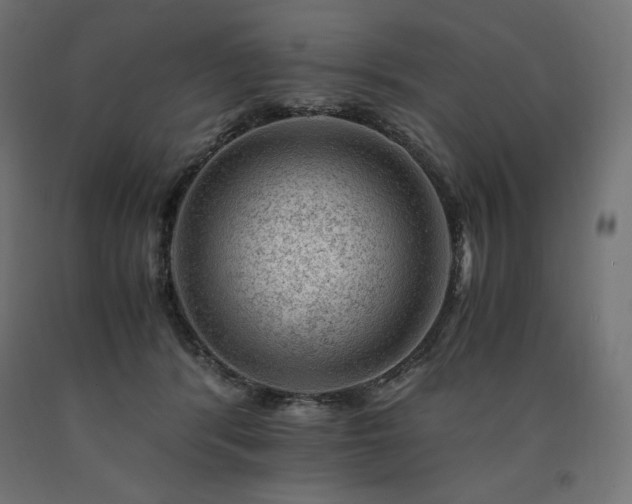 X0000091010416200708021552