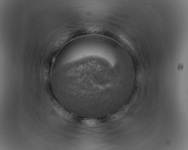 X0000091010417200708021552