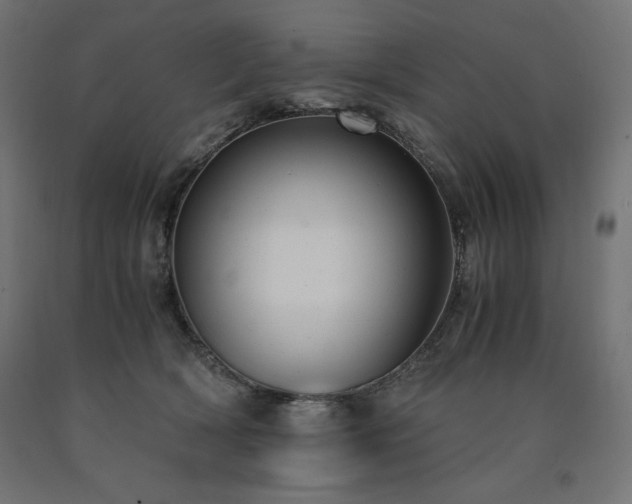 X0000091010418200708021552