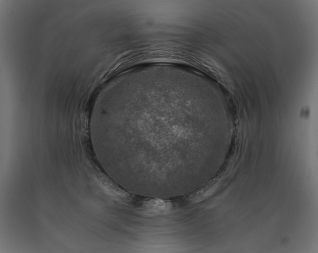X0000091010421200708021552