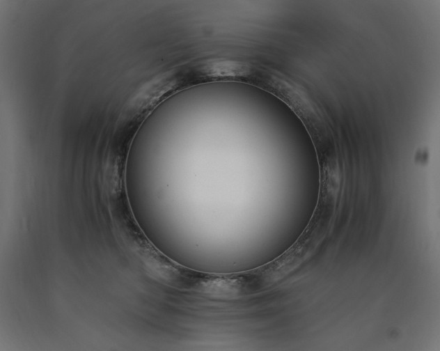 X0000091010422200708021552